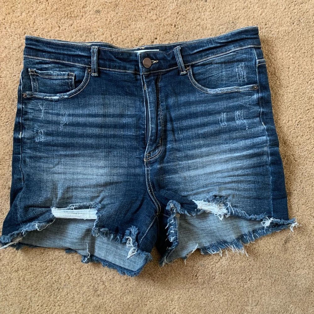 BKE PARKER SHORTS